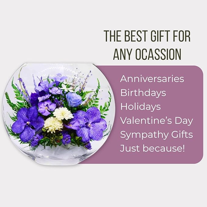 Fiora Flower | Long Lasting Orchids| Lasts up to 5 Years | No Water Need | Allergy Free | Odor Resistant | Unique Present Gift