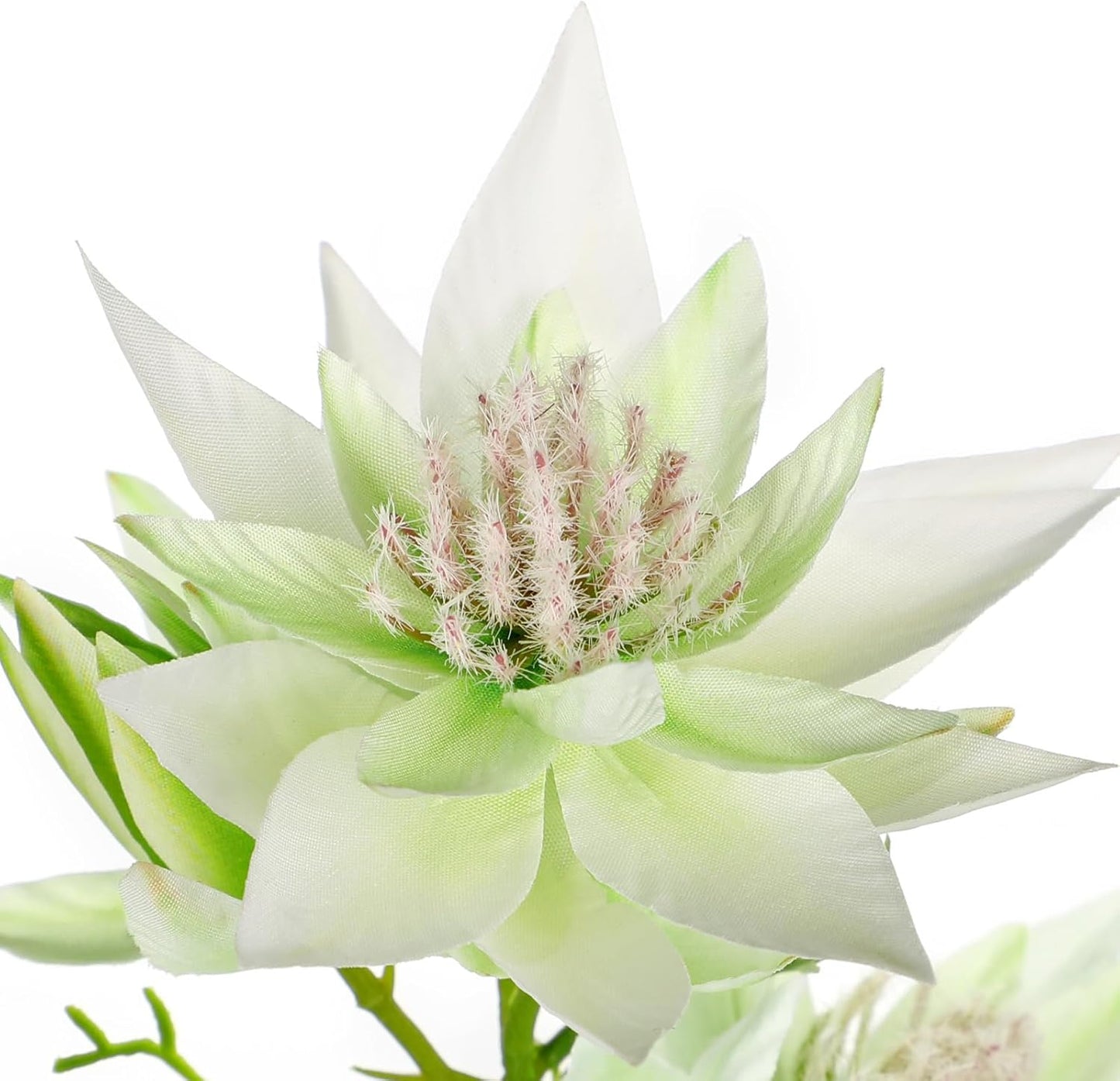 Hollyone 3Pcs White Artificial Flowers Silk 26.3" Fake Protea Flower with Long Stem Faux Flowers Arrangement Branch with 6 Heads for DIY Wedding Party Centerpiece Floral Bouquets Table Home Decor