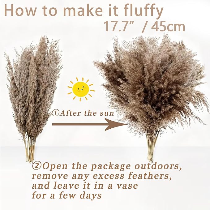 30 Stems Home Decor - Natural Dried Pampas Grass, Fluffy Brown Pompas Grass, Dry Small Pampas Bulk for Living Room Table Decor, Boho Decor, Party Wedding Decor , Gift(17.7 inch, 30 Brown )
