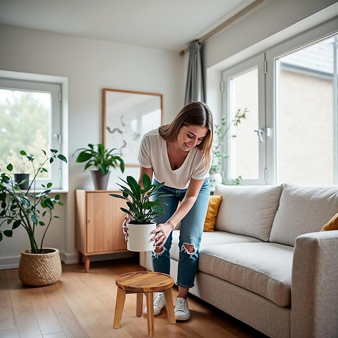 Demigo Indoor Plant Stand, Acacia Wooden Decorative Plant Shelf with Spill-Proof Tray, Stable 8” Tall Flower Holder for Heavy Pots, Gardening Display for Decor Living Room Patio - Natural Brown