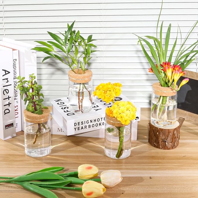Separated Desktop Glass Flower Vases - Ideal Plants Propagation Stations for Living Room, Bedroom Decoration,Home Decor (4)