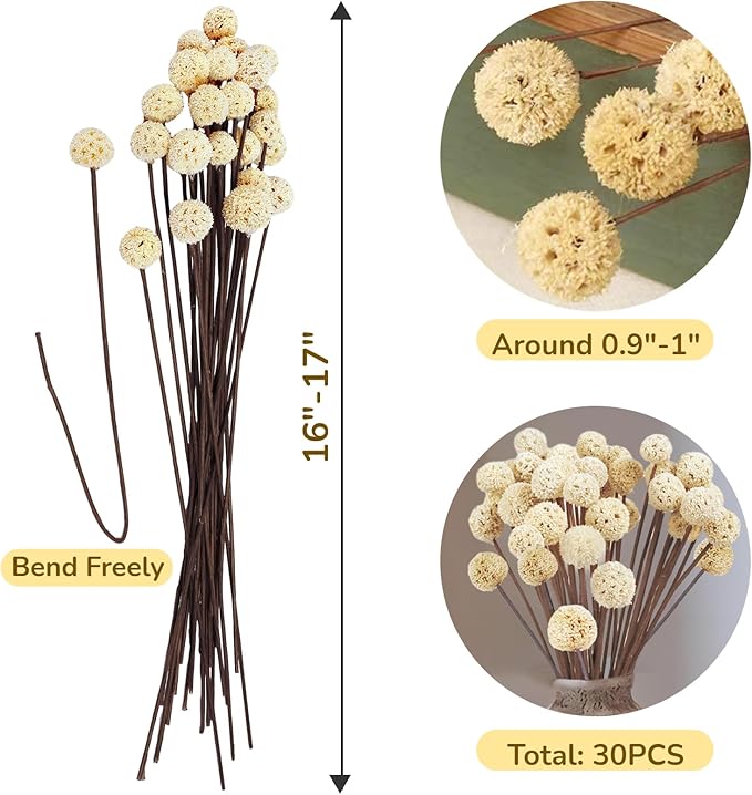 30 PCS Natural Dried Craspedia Billy Balls Flowers, 17” Dried White Flowers Buttons Bouquet for Vase Floral Arrangements Wedding Table Centerpieces Party DIY Home Decor, Christmas Tree Decoration