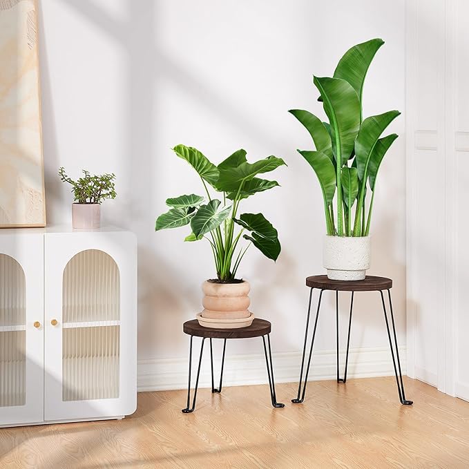 Yangbaga 2Pack Wooden Plant Stands Indoor,11.81IN Round Plant Stands with Metal Legs,Mid Century Plant Holder for Home Decor,Multi-purpose Plant Table for Living Room/Patio/Garden/Balcony/Office