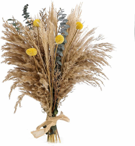 Dried Flowers Boho Bouquet,Pampas Grass for Western Decor,Rustic Farmhouse Flower for Bohemian Home,Bedroom,Living Room,Wedding Table Centerpieces (Bouquet_B, 17 inches)