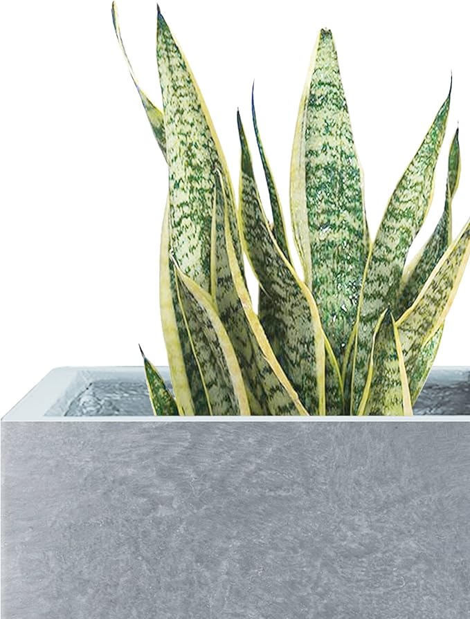 Kante 18.5" H Tall Rectangular Concrete Planters, Outdoor Indoor Lightweight Plant Pots with Drainage Hole and Rubber Plug, Modern Style for Home Garden Patio, Slate Gray