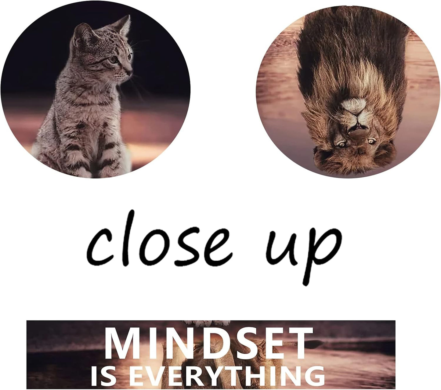 GoForArt Dream Big Motivational Canvas Wall Art, Inspirational Famous Quote Bedroom Living Room Decor, Positive Modern Landscape Mountain Office Dorm Room Poster Print (Inspirational-14, 12''x18'')