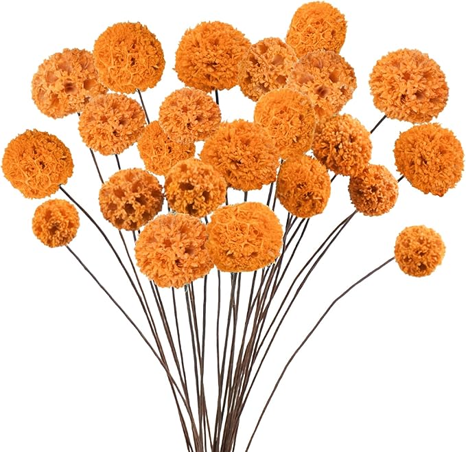 24 PCS Dried Craspedia Billy Balls Flowers, 18” Natural Dried Flowers Bouquet for Vase Floral Arrangements Wedding Table Centerpieces Party DIY Home Decor (Orange)