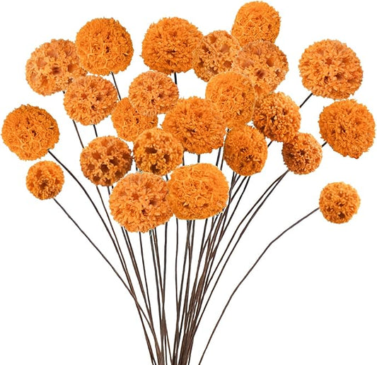 24 PCS Dried Craspedia Billy Balls Flowers, 18” Natural Dried Flowers Bouquet for Vase Floral Arrangements Wedding Table Centerpieces Party DIY Home Decor (Orange)