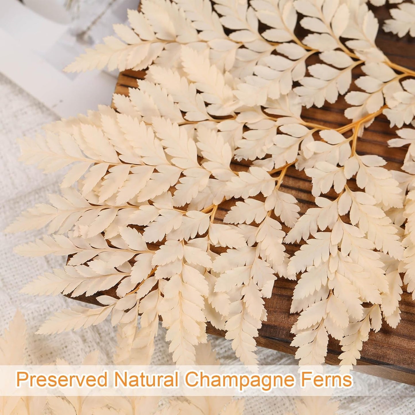 Fern Preserved Champagne Ferns, 10 PCS Dried Boston Fern with Stems, 15'' Real Leaves for Dried Flowers Arrangements Wedding Garland Bouquets Home Party Centerpiece Table Decorations Vase Filler