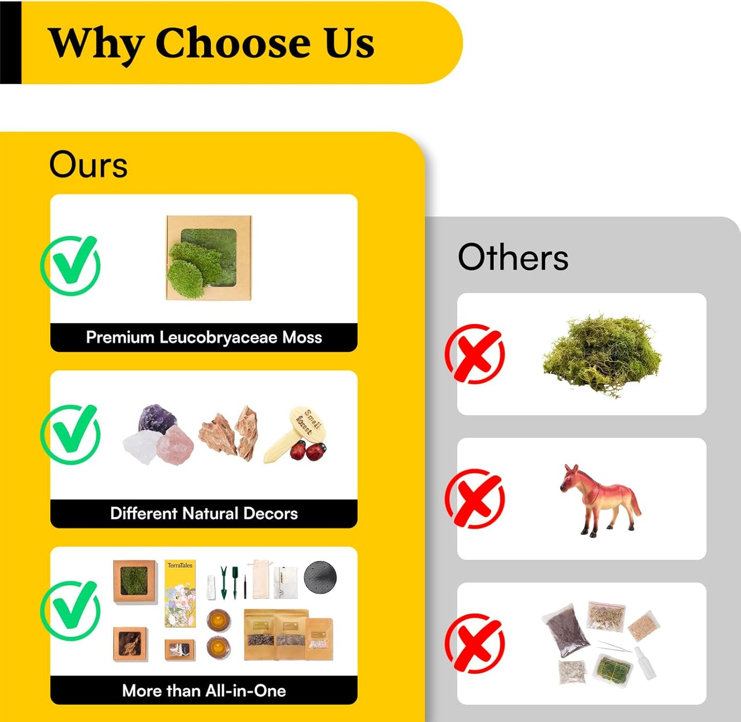 DIY Crystal Terrarium Kit– All-In-One Starter Kit with Perserved Moss, Pumice, Crystals, Coconut Coir, Gardening Tools & Decor | Healing Gift for relaxing | Plants & Crystal Lovers | Home & Desk Decor