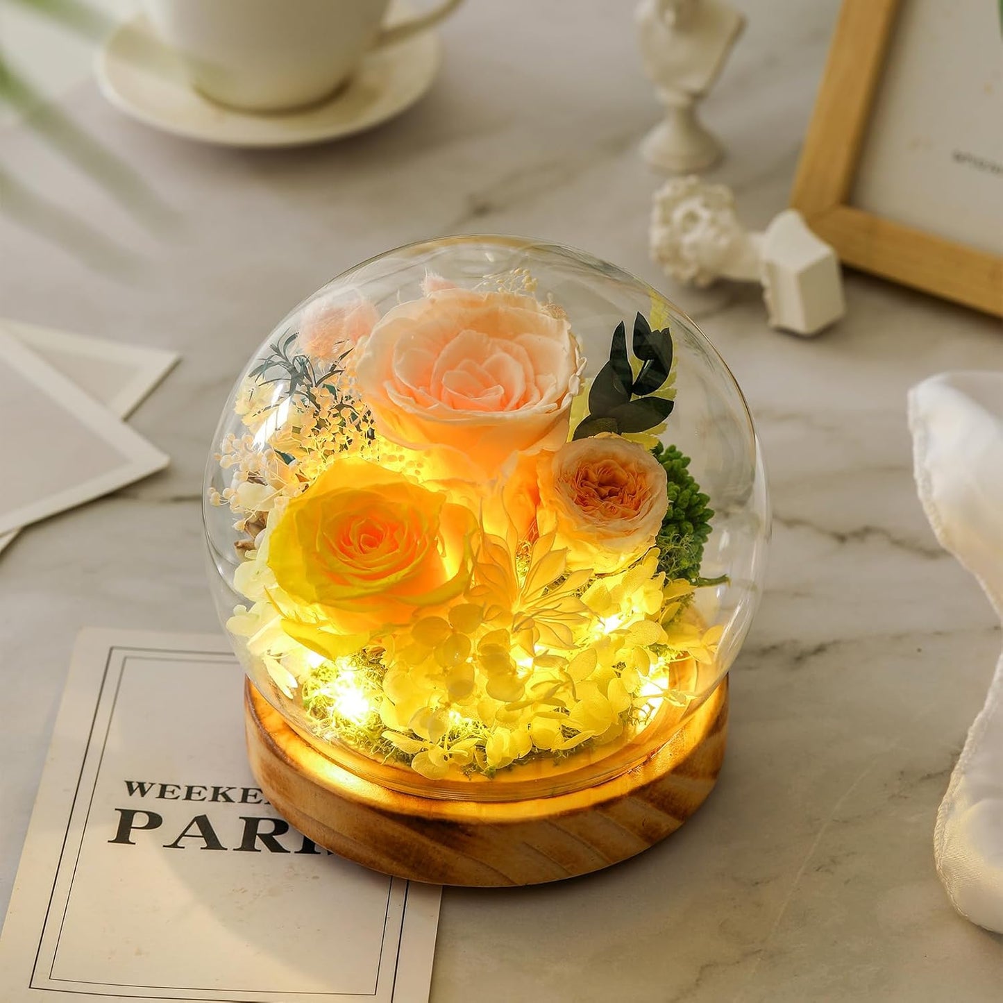 Long-Lasting Real Flowers,Preserved Roses with Hydrangea and LED Lights for Anniversary,Christmas,Birthday Present for Mom Grandma Wife Used as for Occasions(Champagne Rose)