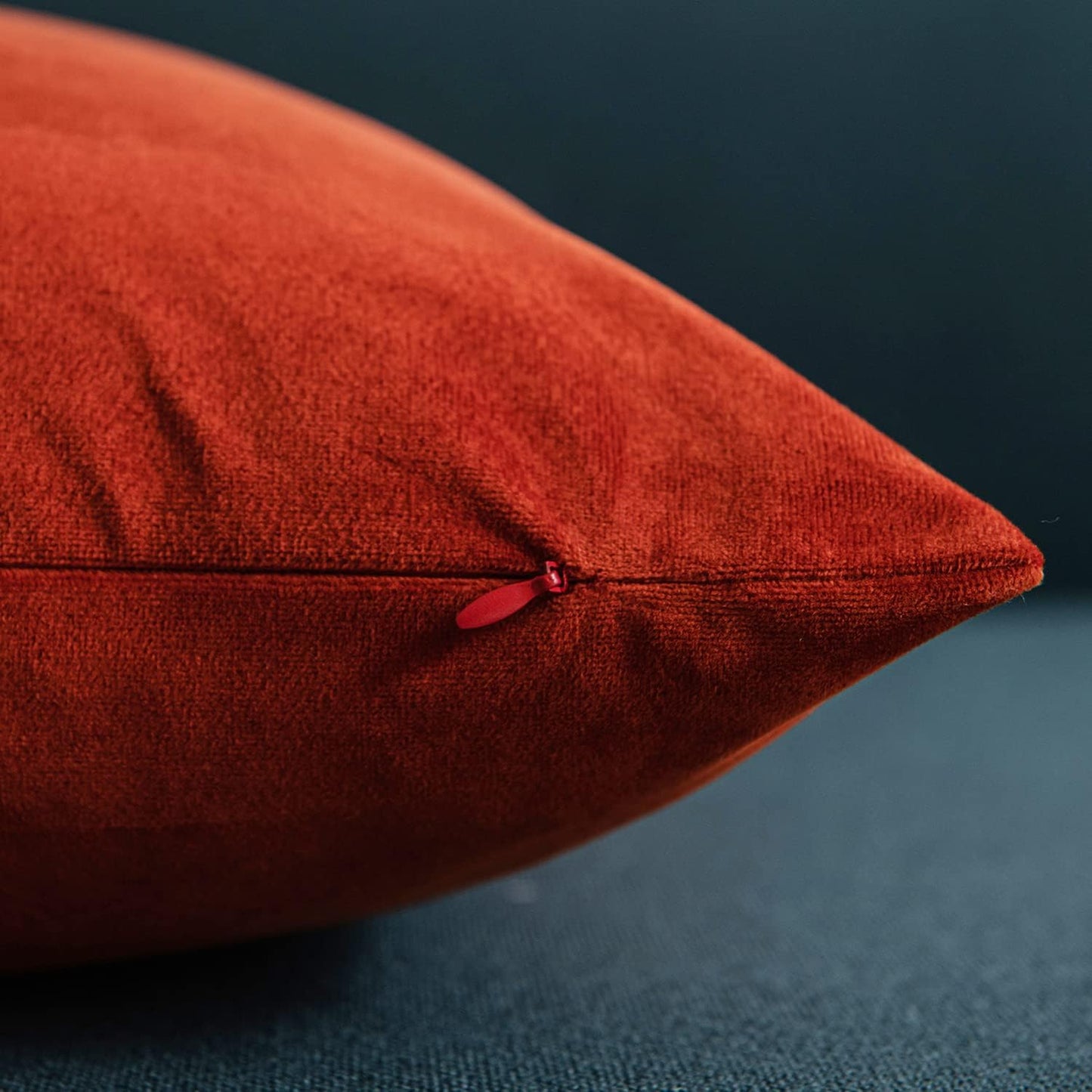 Fall Couch Pillow Cases 24x24 Burnt Orange: 2 Pack Cozy Soft Velvet Square Throw Pillow Covers for Farmhouse Home Decor