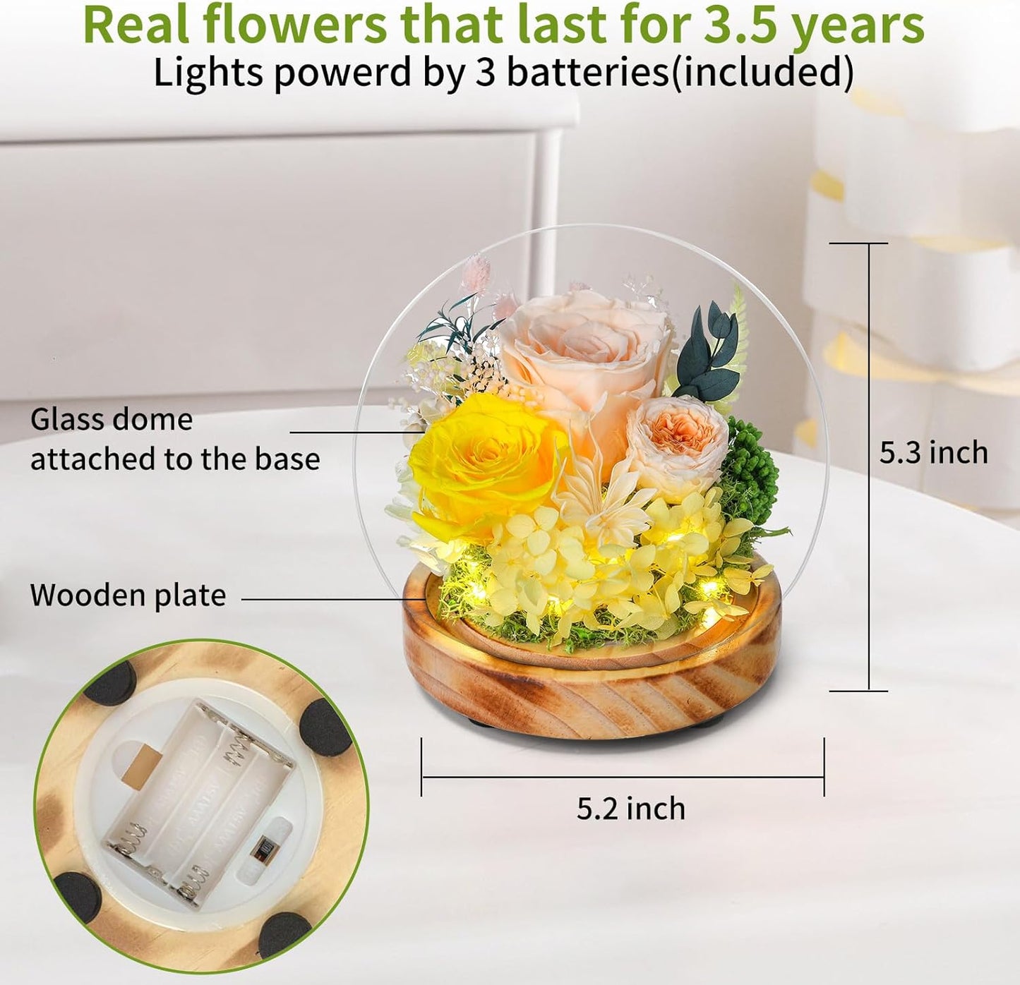 Long-Lasting Real Flowers,Preserved Roses with Hydrangea and LED Lights for Anniversary,Christmas,Birthday Present for Mom Grandma Wife Used as for Occasions(Champagne Rose)