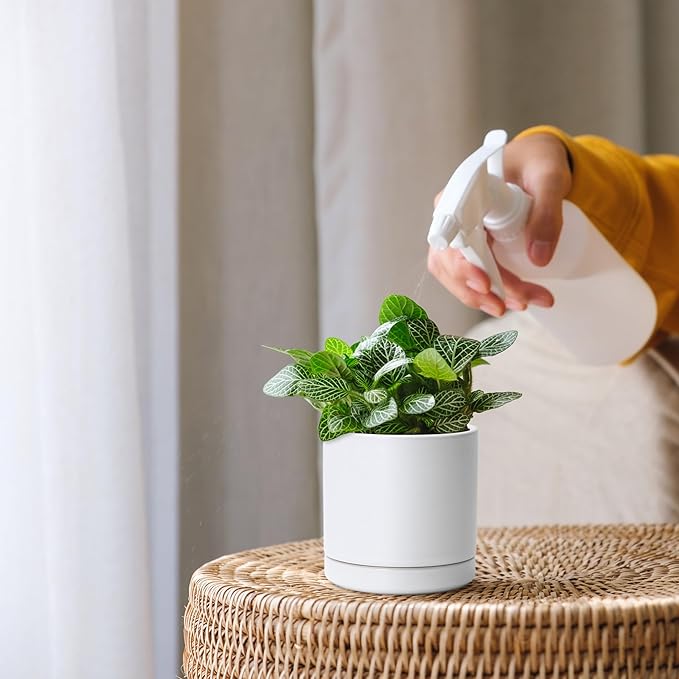 D'vine Dev 3.5 Inch Ceramic Planter Pot with Drainage Hole and Saucer, Indoor Cylinder Round Planter Pot, White, 94-O-A-1