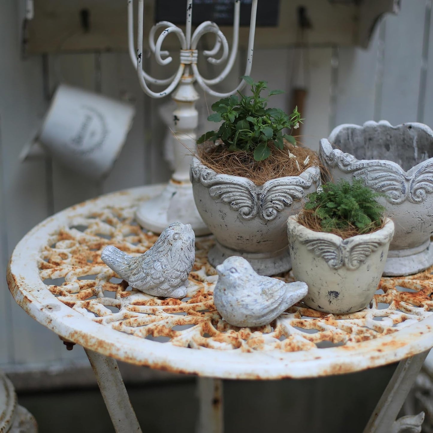 BIG FORTUNE Outdoor Bird Statues Bird Decor Figurines for Home Cement Bird Sculpture for Patio Yard Lawn Ornament, 2style/Set,Indoor Outdoor Bird Decorations Statue(Gray)