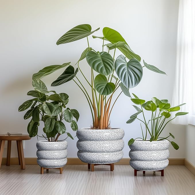 SQOWL Ceramic Pots for Plants - 8 Inch Plant Pot with Drainage Hole, Round Planter for Indoor Plants, Ceramic Flower Pots Outdoor, Modern Planter, Room Decor, Gifts for Plant Lover, Black and White