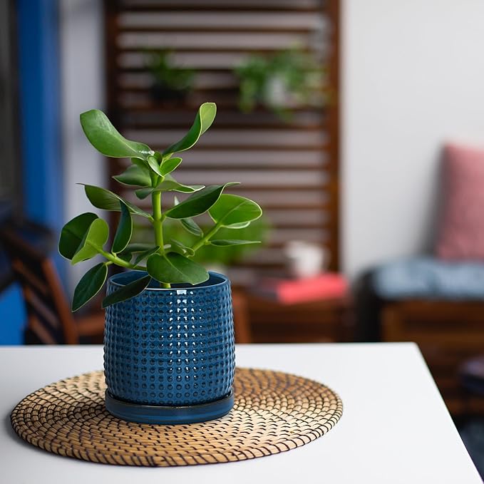 D'vine Dev Set of 2 Ceramic Plants Pots, 4 Inch Beaded Stoneware Flower Pot for Plants with Drainage Hole and Saucer, Midnight Blue, 27-E-Z-3