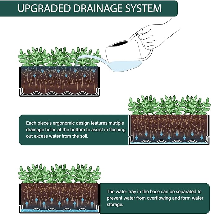 D'vine Dev 12 Inch Window Box Planter, Rectangle Plastic Herb Planter with Drainage Holes and Saucer, Indoor Succulent Cactus Vegetable Pot for Windowsill, Garden Balcony, Black, Set of 2, 76-X-B-2