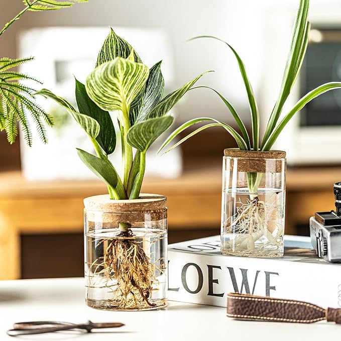 Glass Propagation Stations for Plants -Desktop Flower Vases,Propagation Flower Vases Set – 2 Sizes Planter Propagated Jars ,for Plant Cuttings,for Living Room, Bedroom Decoration,Home,Office Decor(8)