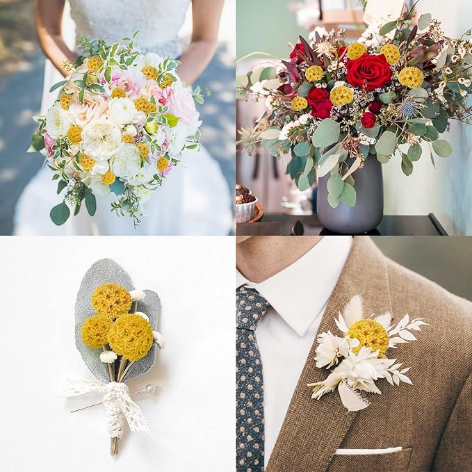 24 PCS Dried Craspedia Billy Balls Flowers, 18” Natural Dried Flowers Bouquet for Vase Floral Arrangements Wedding Table Centerpieces Party DIY Home Decor (Yellow)