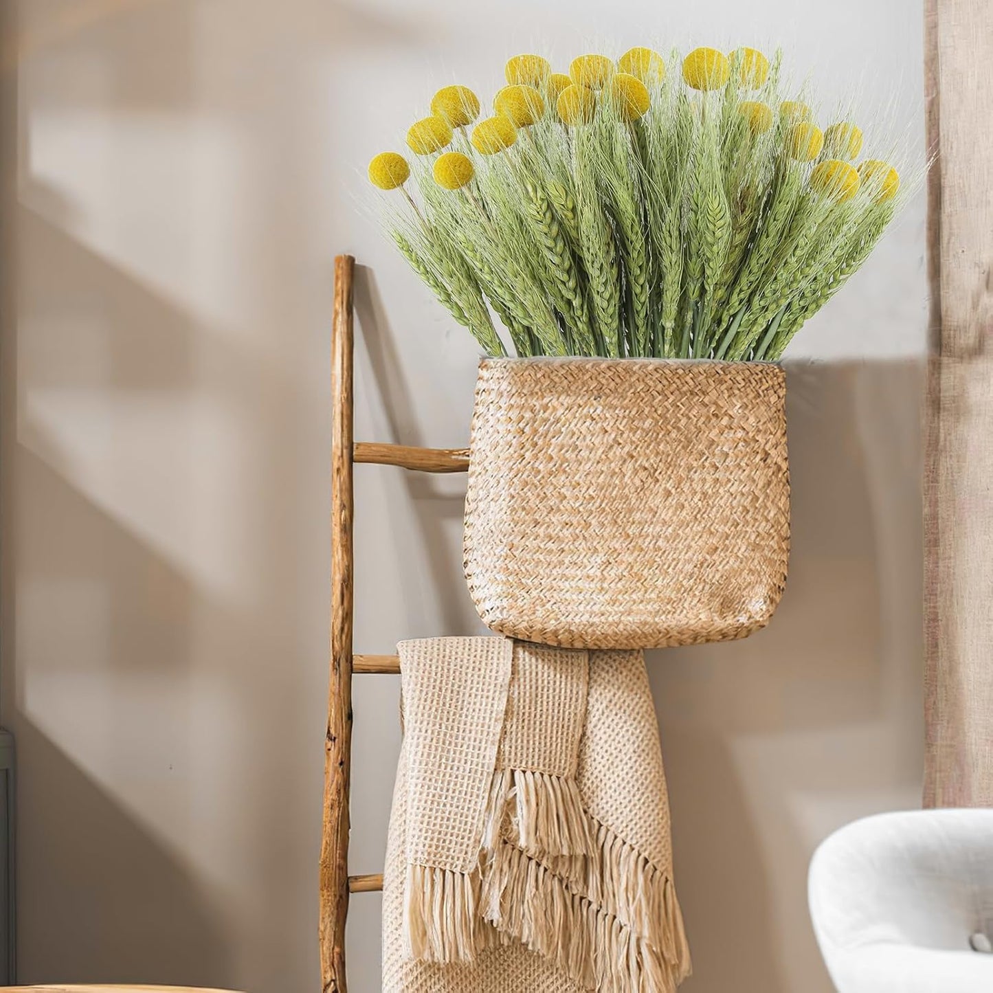 CISDUEO 60 Pcs Dried Wheat Stalks Bundle Natural Dried Flowers Craspedia Billy Balls Flowers Billy Buttons Dried Floral Bouquet Arrangements for Wedding Party Table Centerpiece Decor Farmhouse DIY