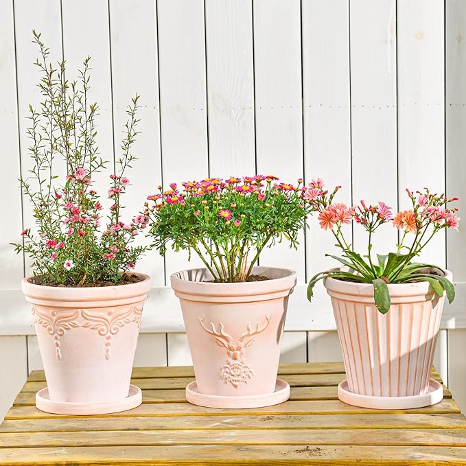 Sungmor Set of 3 Terra Cotta Pots With Saucer & Drainage Hole - 8 Inch Large & Deep Clay Planters, Unique Embossed & Pretty Color Pottery for Plants, Orchid, Cactus, Succulent