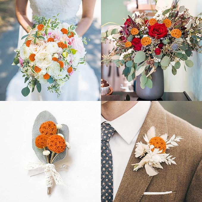 24 PCS Dried Craspedia Billy Balls Flowers, 18” Natural Dried Flowers Bouquet for Vase Floral Arrangements Wedding Table Centerpieces Party DIY Home Decor (Orange)