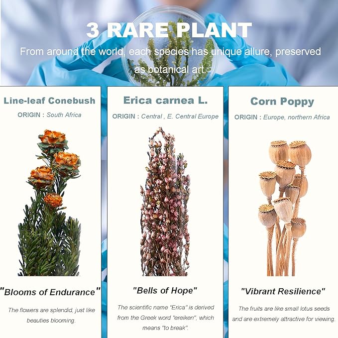 3Pcs Dried Flowers Book Shelf Decor,Boho Shelf Decor,Small Plants Decor for Office Shelves,Natural Forest Green Plants Decor with Wooden Base,Rustic Farmhouse Decor,Unique Gifts for Women,Friends