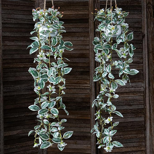 2PCS Artificial Hanging Plant with Pot Faux Hanging Plants Small Hanging Plants Pot with Artificial Vines and Flower Greenery Decoration for Living Room Wall Home Wall Shelf