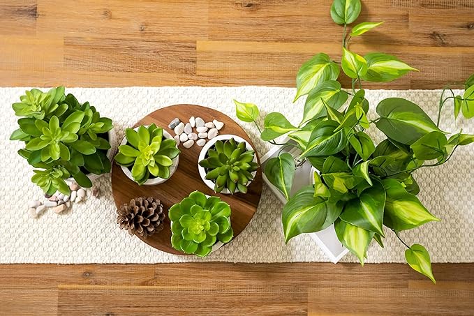 Kurrajong Farmhouse wood pedestal stand | 9" wide round riser board | acacia wood pedestal board | plant holder