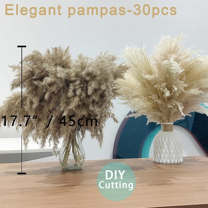 30 Stems Home Decor - Natural Dried Pampas, Brown & Beige Pompas Grass, Dry Small Pampas Bulk for Living Room Table Decor, Boho Decor,Party Wedding Decor, Gift(17.7 inch, 20 Brown & 10 Female Pampas)