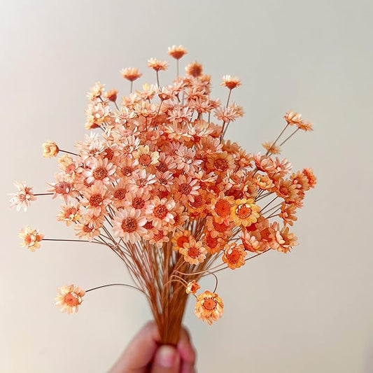 200 Stems Natural Dried Flowers Brazilian Small Star Daisy Dried Decorative Mini Chamomile Bouquet for Wedding Floral Arrangements Home Decorations Valentine's Day Gifts (Orange)