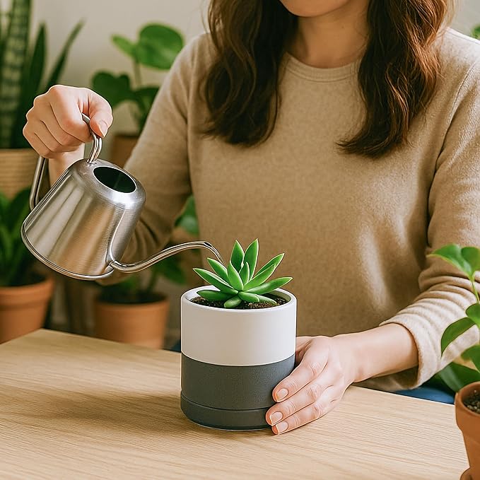 D'vine Dev 3.5 Inch Ceramic Planter Pot with Drainage Hole and Saucer, Indoor Cylinder Round Planter Pot, White/Speckled Grey, 94-O-A-6