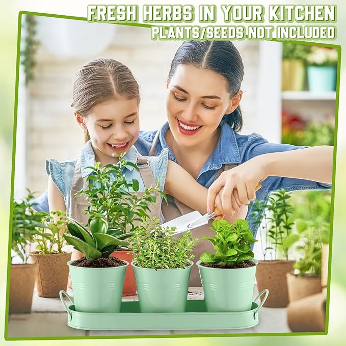 Hicarer 2 Sets Herb Planter with Tray Metal Herb Garden Planter with Drainage Farmhouse Windowsill Pots for Indoor Plants Flower Succulent Outdoor Kitchen Apartment Balcony Window (Green)