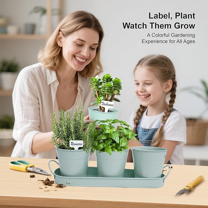 Herb Garden Planter Indoor Kit – 6 Metal Pots with 2 Trays for Windowsill & Kitchen Counter – Modern Decorative Indoor Planters for Herbs, Succulents & Small Plants, Mint