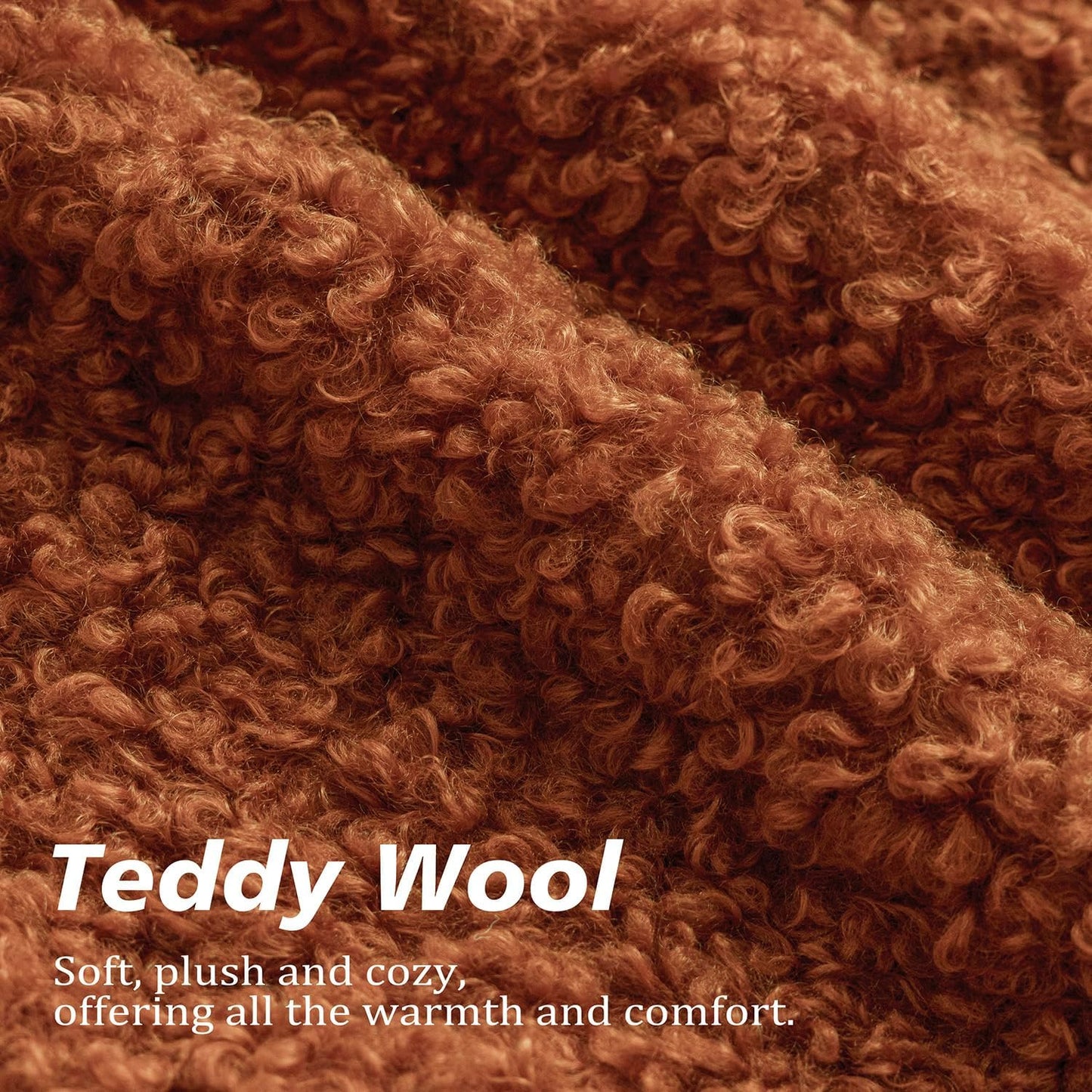 Foindtower 2 Pieces 20x20 Inch Burnt Orange, Faux Fur Throw Pillow Cover Accent Sherpa Furry Pillow Cover Fuzzy Soft Pillowcases Cozy Sheepskin Decorative Fleece Cushion Case for Bed Couch Living Room