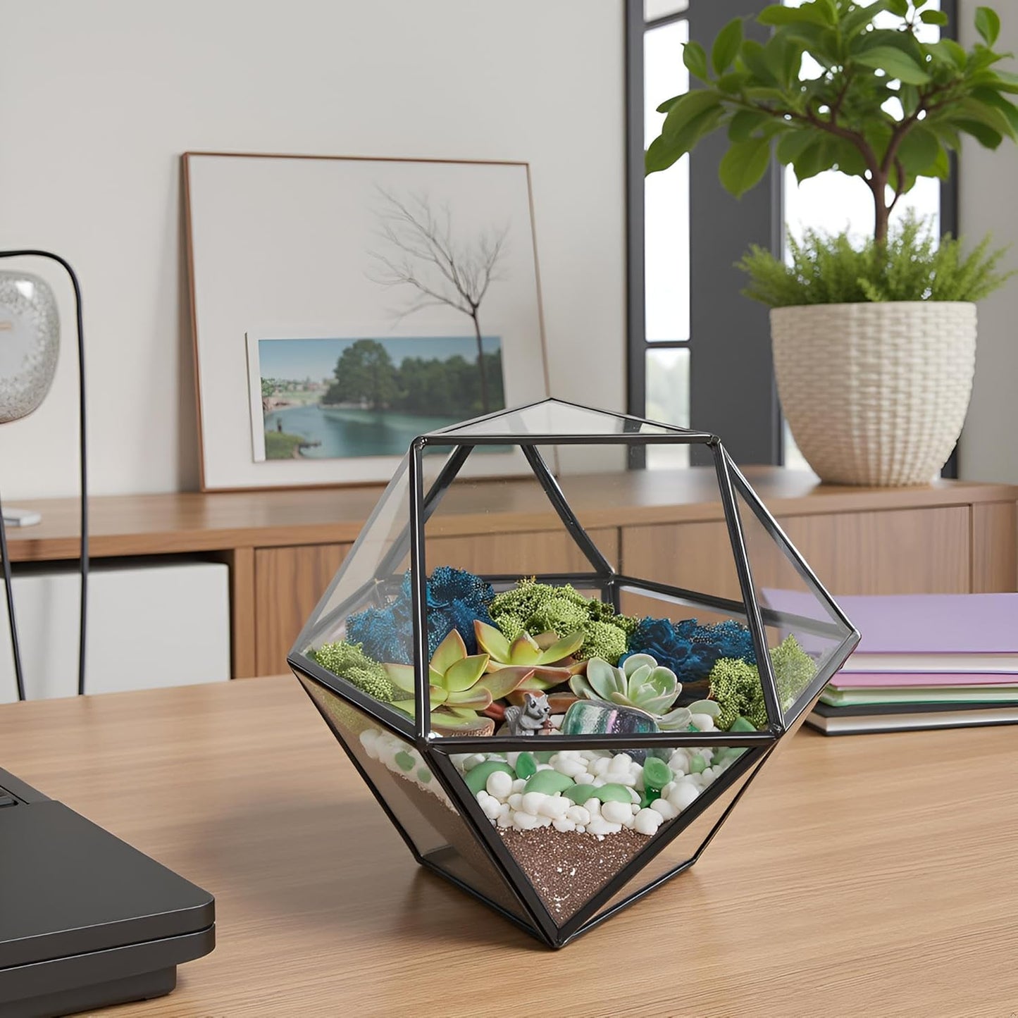 DIY 7" Geometric Terrarium Kit with Live Plants - Build Your Own Glass Terrarium for Adults & Kids with Moss, Crystals, Tools & Decor - Mini Ecosystem - Handcrafted in The USA