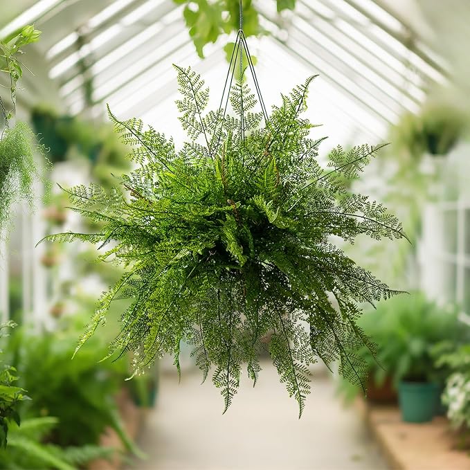 4PCS Lifelike Fake Fern Plants UV Resistant Artificial Boston Ferns for Outdoor Indoor Large Fake Greenery Plants No Wither for Front Porch Garden Window Home Decoration