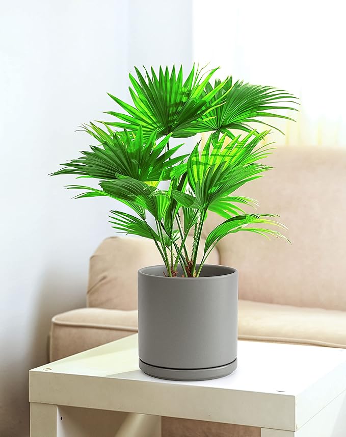 D'vine Dev 8 Inch Ceramic Planter Pot with Drainage Hole and Saucer, Indoor Cylinder Round Planter Pot, Grey, 94-O-D-3