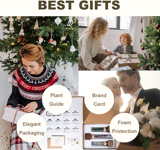 5Pcs Dried Flowers Book Shelf Decor,Boho Shelf Decor,Small Plants Decor for Office Shelves,Natural Forest Green Plants Decor with Wooden Base,Rustic Farmhouse Decor,Unique Gifts for Women,Friends