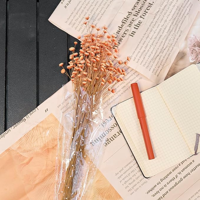 200 Stems Natural Dried Flowers Brazilian Small Star Daisy Dried Decorative Mini Chamomile Bouquet for Wedding Floral Arrangements Home Decorations Valentine's Day Gifts (Orange)