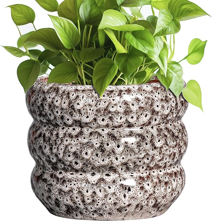 SQOWL Ceramic Plant Pots - 8 Inch Ceramic Planter for Indoor Plants Outdoor, Round Planter with Drainage Hole, Round Decorative Flower Pots, Living Room Office Garden Decor, Gardening Gifts, White