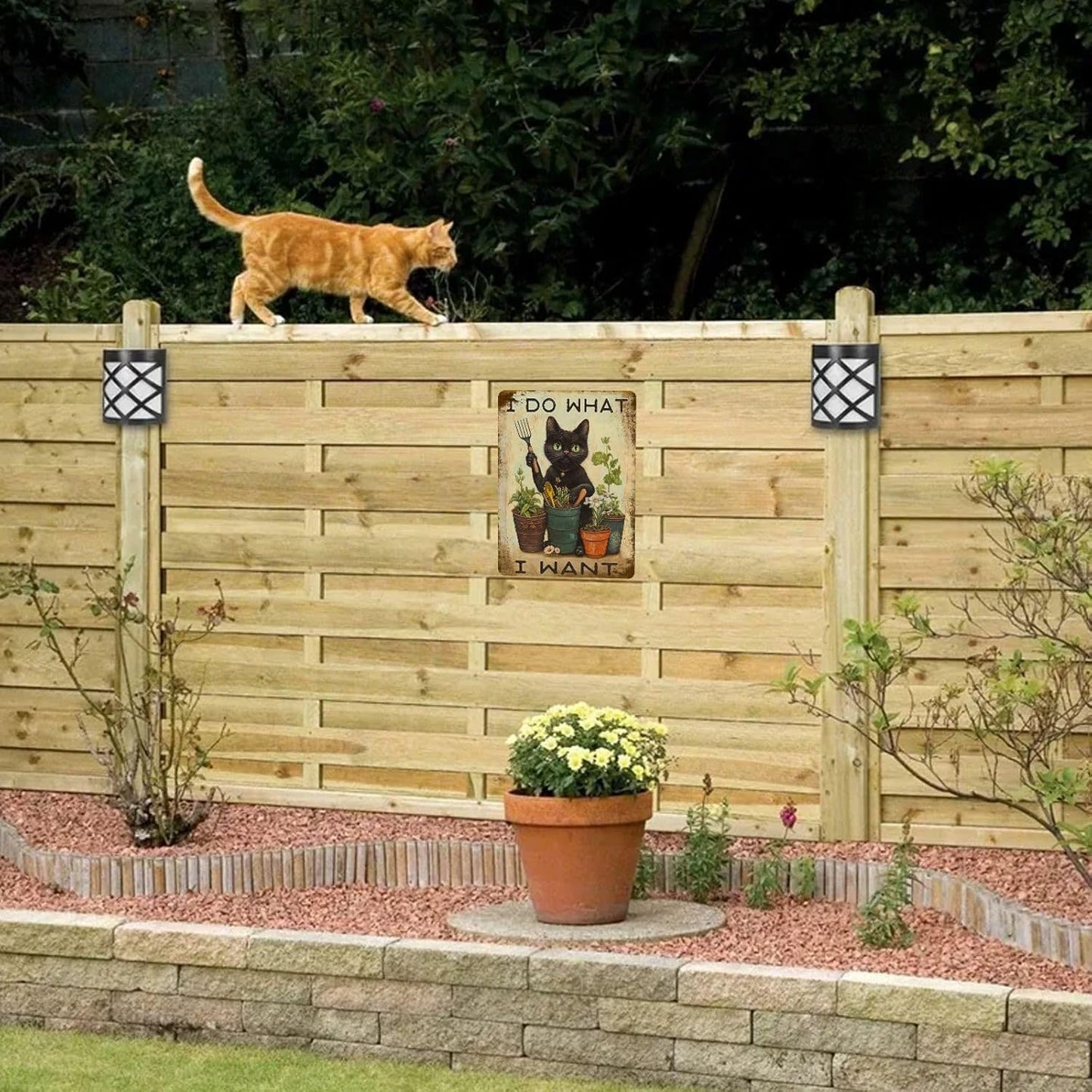 Funny Garden Wall Decor Black Cat I Do What I Want Vintage Metal Tin Signs Aluminum Sign for Home Garden Yard Greenhouse Wall Decor 8×12 Inch