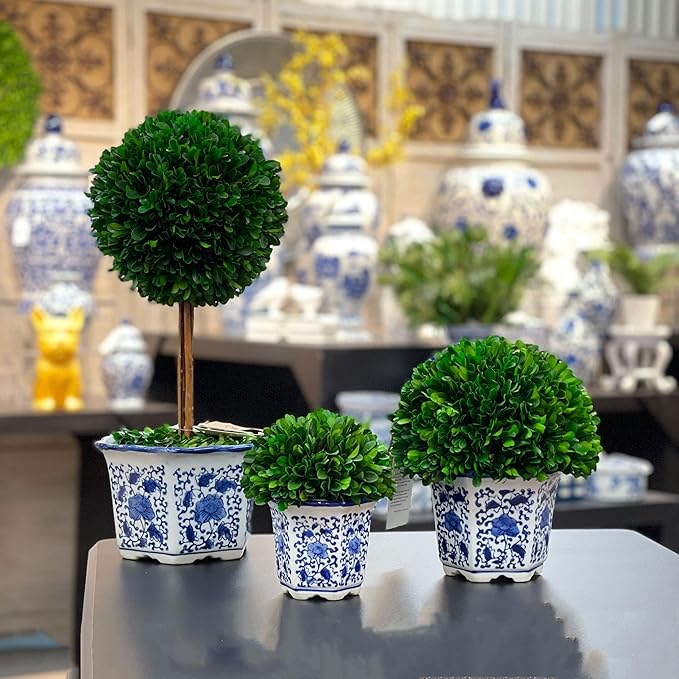 Galt International 7" Naturally Preserved Real Boxwood Ball in Hand-Painted Blue & White China Pot Planter Green Indoor Plant Home Decor (Small 7" Tall Topiary)
