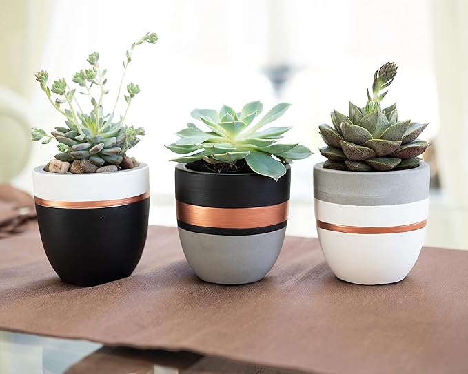 PASENITY Hand Painted Indoor Plant Pots, Set of 3 Modern Cement Succulent Pots with Drainage, Best Planters for Cactus, Herbs, Great Office & Home Gift Idea (Plants NOT Included), 3.5 Inch