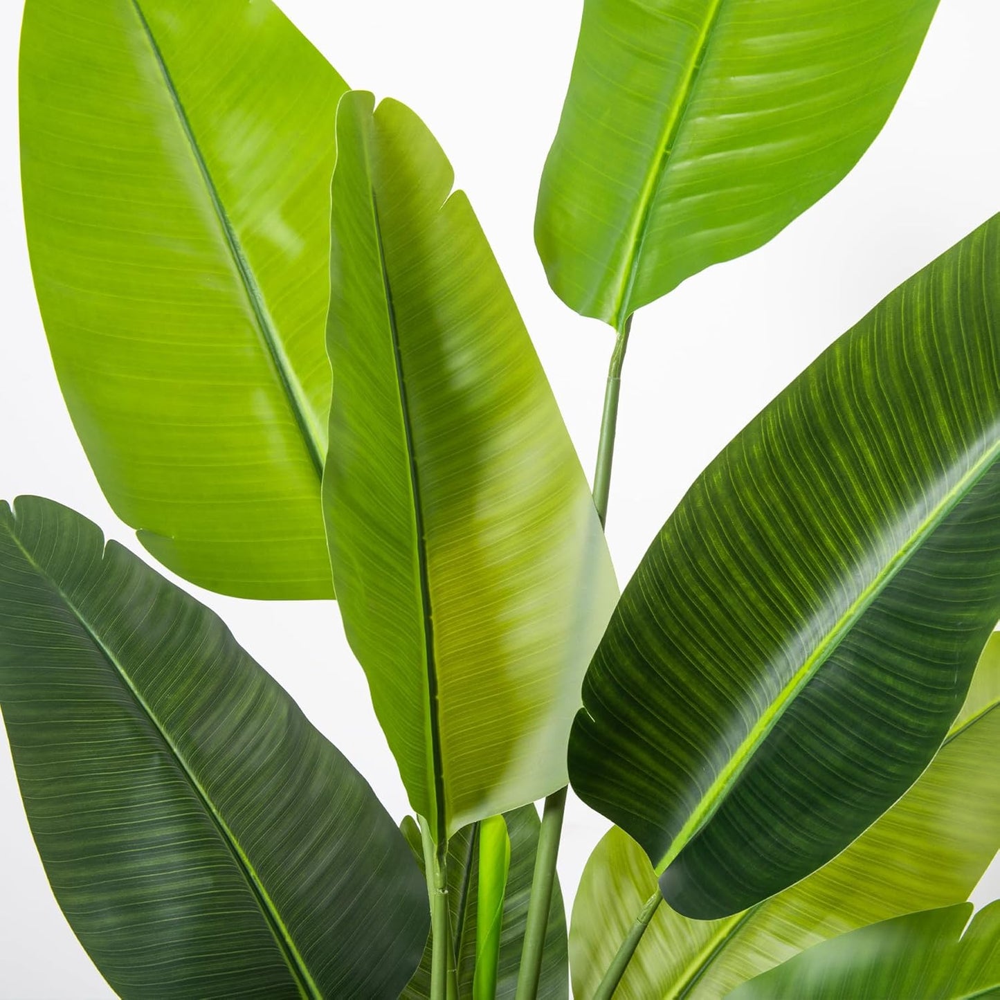 Bird of Paradise Artificial Plant 6FT, Faux Tropical Palm Tree with White Tall Planter, Large Fake Plants in Pot - Artificial Tree for Home Office Living Room Decor Indoor