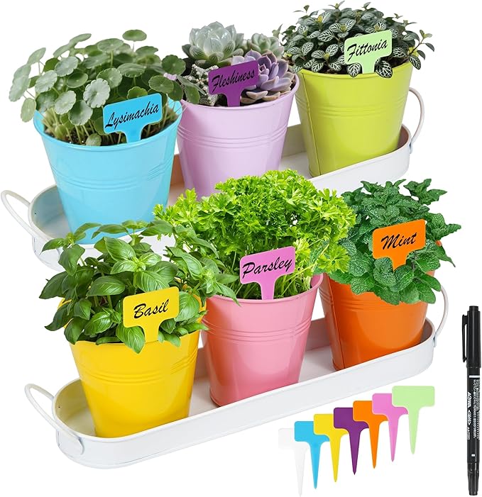Herb Garden Planter Indoor Kit – 6 Metal Pots with 2 Trays for Windowsill & Kitchen Counter – Modern Decorative Indoor Planters for Herbs, Succulents & Small Plants