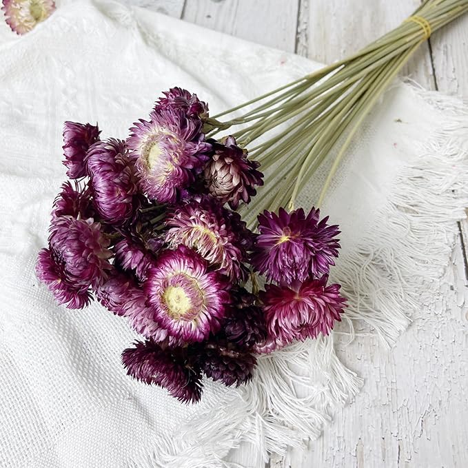 100% Natural Daisy Flowers, Dried Flower Bouquets-30Pcs Pink Daisies Chrysanthemums, 17 Inch Arrangements for Vase, Home Decoration Photo Props Parties and Weddings-Daisy Purple