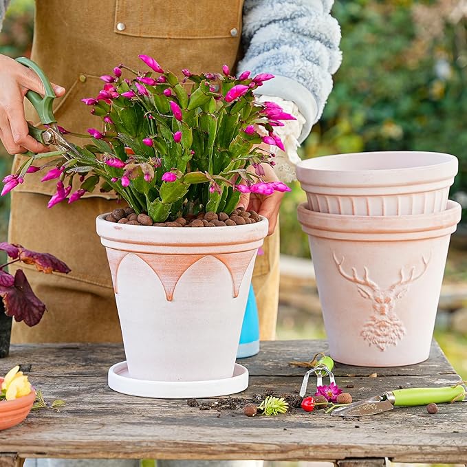 Sungmor Terra Cotta Pot Set - 3 Unique Embossed Clay Planters with Saucer & Drainage, 8 Inch Large & Deep, Pretty Color, Ideal for Orchid, Cactus, Succulent