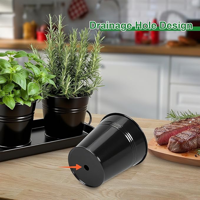 Herb Garden Planter Indoor Kit – 6 Metal Pots with 2 Trays for Windowsill & Kitchen Counter – Modern Decorative Indoor Planters for Herbs, Succulents & Small Plants, Black